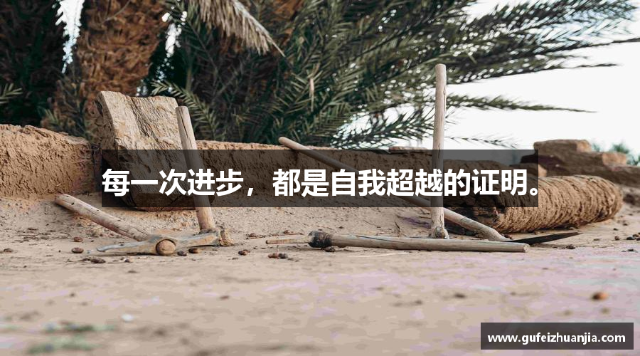 每一次进步，都是自我超越的证明。